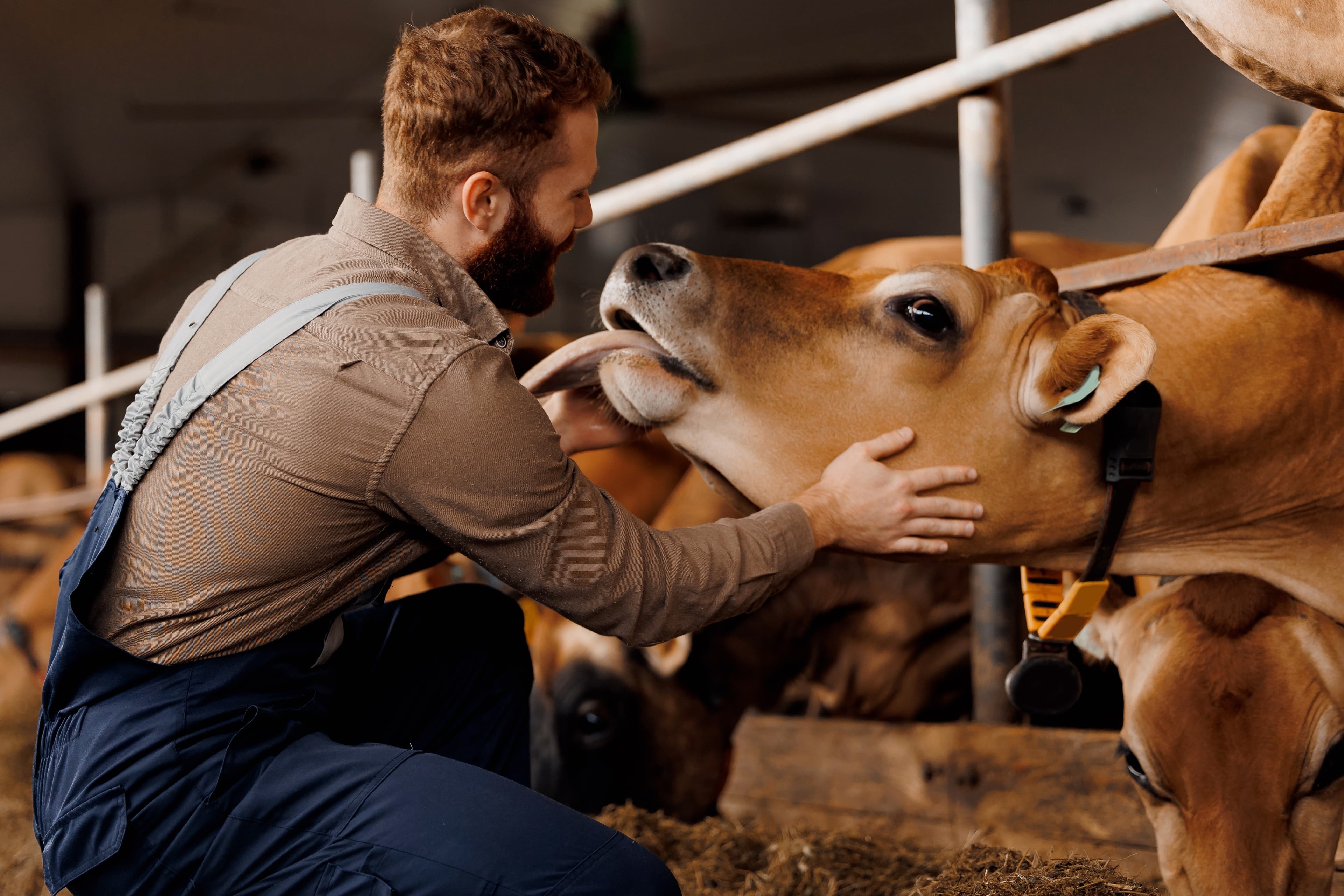 Students collaborating in a modern office environment
